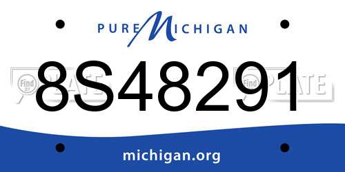 8S48291 Michigan License Plate