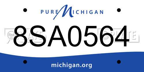 8SA0564 Michigan License Plate