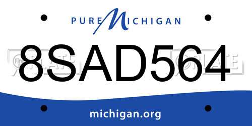 8SAD564 Michigan License Plate