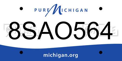 8SAO564 Michigan License Plate
