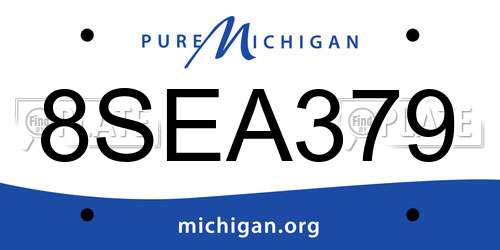 8SEA379 Michigan License Plate