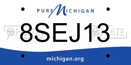 8SEJ13 Michigan License Plate