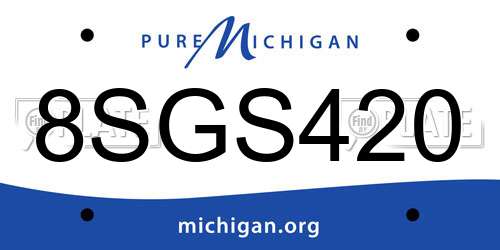 8SGS420 Michigan License Plate