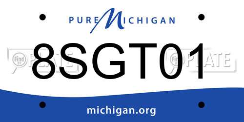 8SGT01 Michigan License Plate