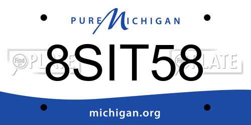 8SIT58 Michigan License Plate