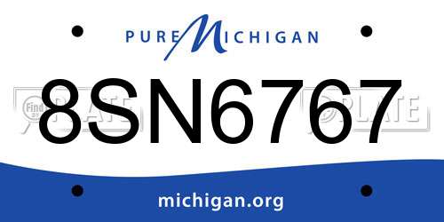 8SN6767 Michigan License Plate