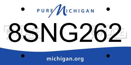 8SNG262 Michigan License Plate