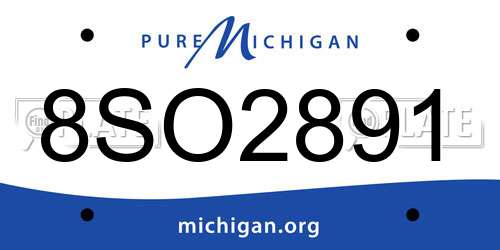 8SO2891 Michigan License Plate
