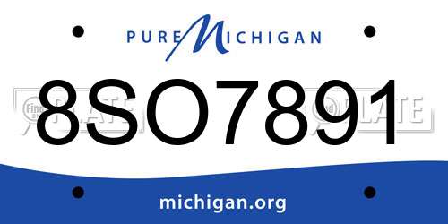 8SO7891 Michigan License Plate