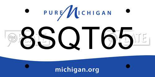 8SQT65 Michigan License Plate