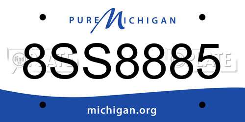 8SS8885 Michigan License Plate
