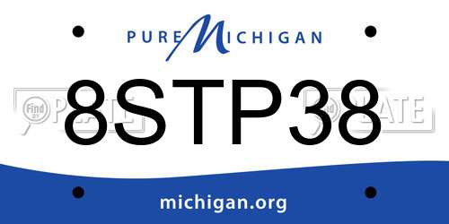 8STP38 Michigan License Plate