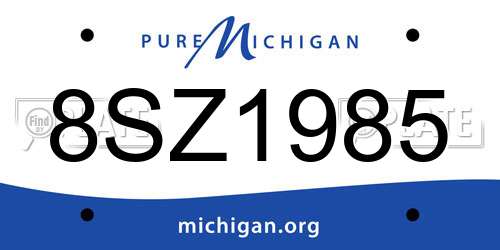 8SZ1985 Michigan License Plate