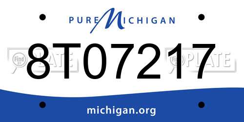 8T07217 Michigan License Plate