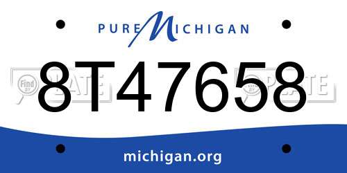 8T47658 Michigan License Plate