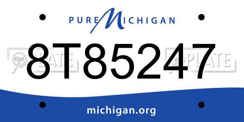 8T85247 Michigan License Plate
