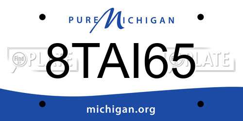 8TAI65 Michigan License Plate