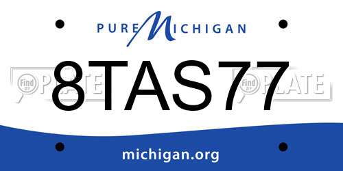 8TAS77 Michigan License Plate