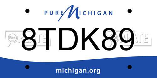8TDK89 Michigan License Plate