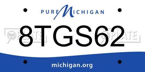 8TGS62 Michigan License Plate