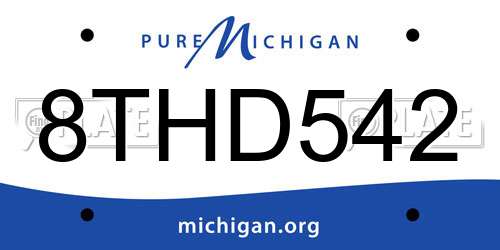 8THD542 Michigan License Plate