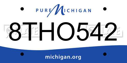 8THO542 Michigan License Plate