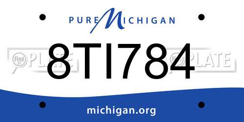 8TI784 Michigan License Plate