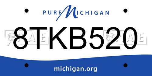 8TKB520 Michigan License Plate