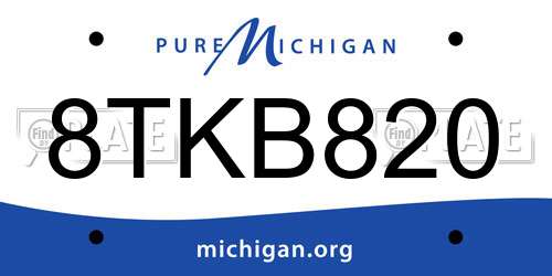8TKB820 Michigan License Plate