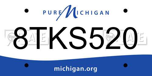 8TKS520 Michigan License Plate