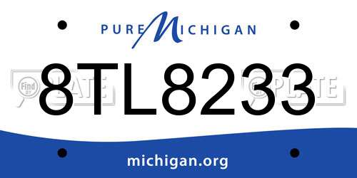 8TL8233 Michigan License Plate