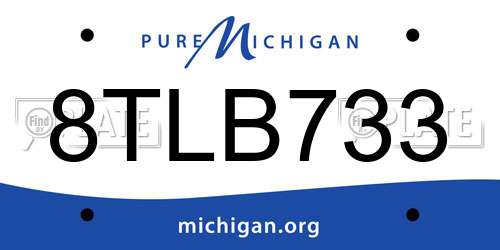 8TLB733 Michigan License Plate