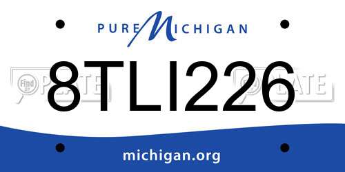 8TLI226 Michigan License Plate
