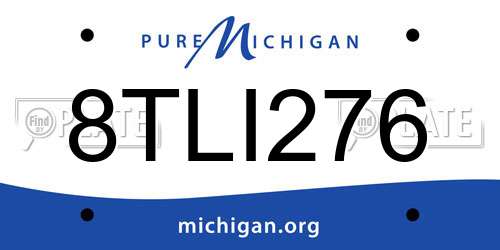 8TLI276 Michigan License Plate