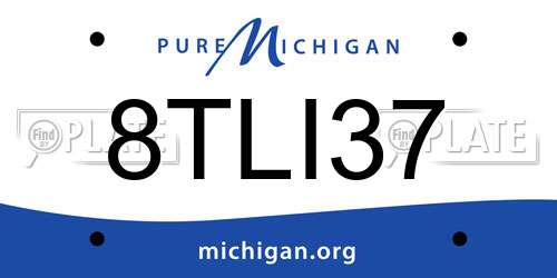 8TLI37 Michigan License Plate