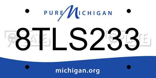 8TLS233 Michigan License Plate