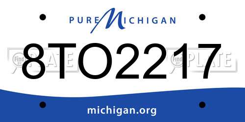 8TO2217 Michigan License Plate