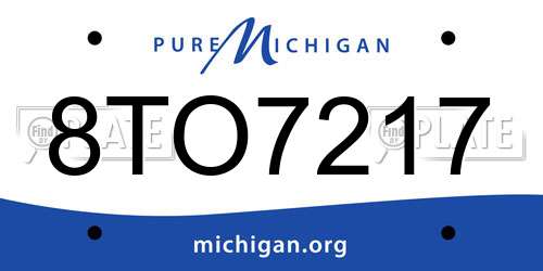 8TO7217 Michigan License Plate