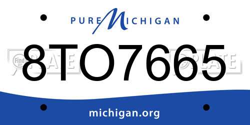 8TO7665 Michigan License Plate
