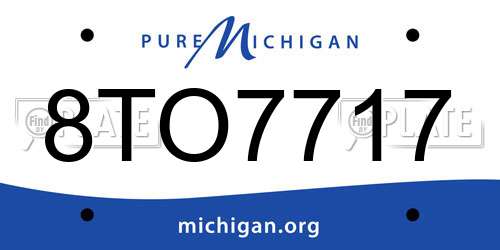 8TO7717 Michigan License Plate