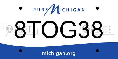 8TOG38 Michigan License Plate