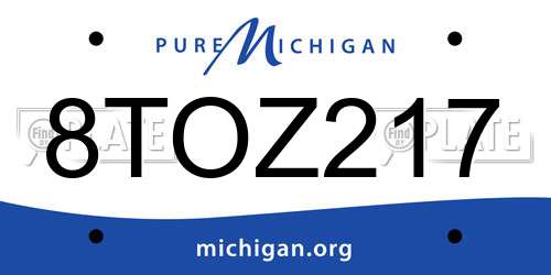 8TOZ217 Michigan License Plate