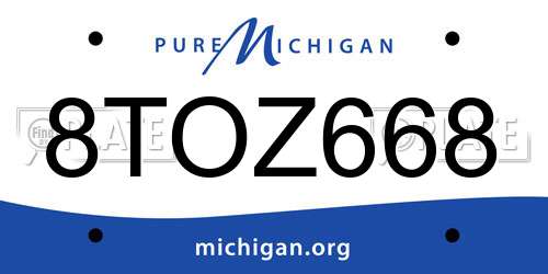 8TOZ668 Michigan License Plate