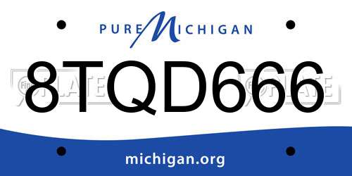 8TQD666 Michigan License Plate