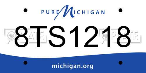 8TS1218 Michigan License Plate