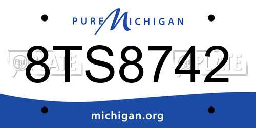8TS8742 Michigan License Plate