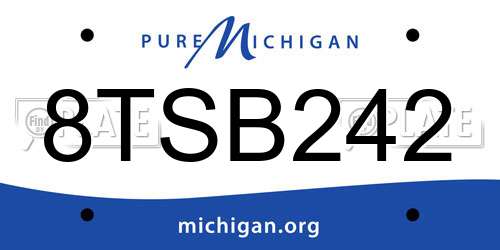 8TSB242 Michigan License Plate