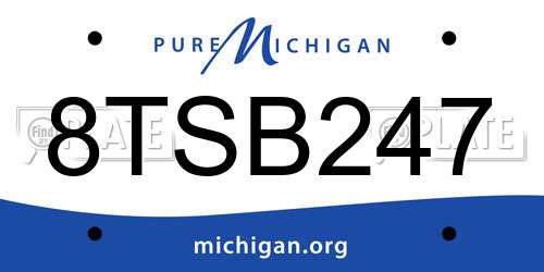 8TSB247 Michigan License Plate