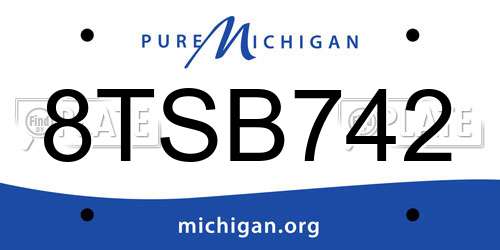 8TSB742 Michigan License Plate