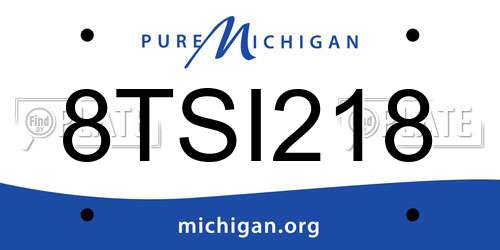 8TSI218 Michigan License Plate